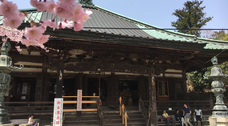 🏯 복을 베푸는 절 (세후쿠지) 이미지 12